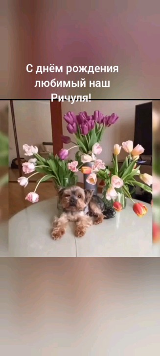 natali312801 в LOOKY. . Ричик,@victoria_668_...