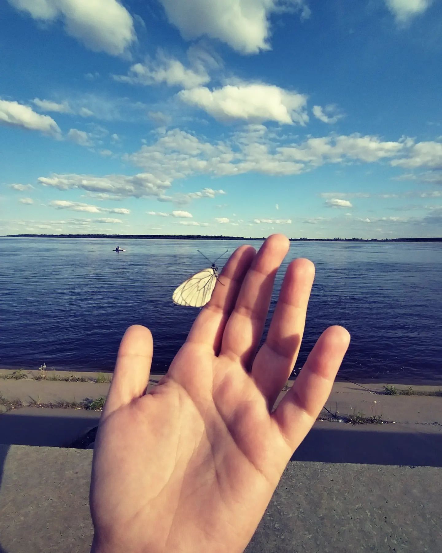 vikdak в LOOKY. . null
