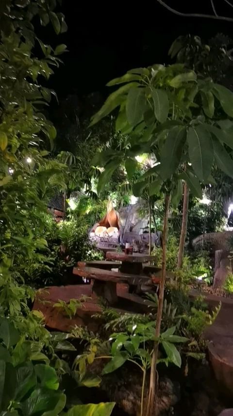galabushova в LOOKY. #tailand,#phuket,#лето2023,#galabushova,#photography,#photos,#travel,#bussiness,#bookstagram,#buddhist,#travel,#photography,#galaxy. Размножая радость 🍍...