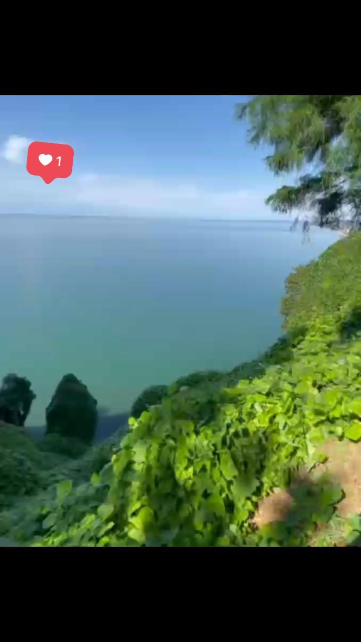 bachacha_nogaideli_georgia в LOOKY. . null