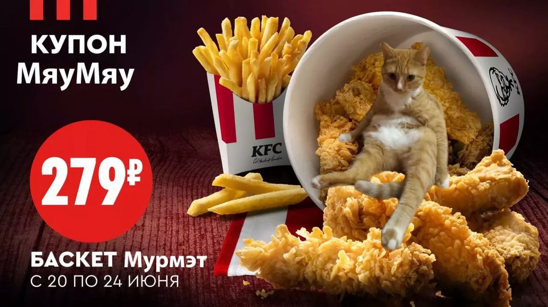 Немного кошачьего Фотошопа 😼

#Кошка
#Photoshop