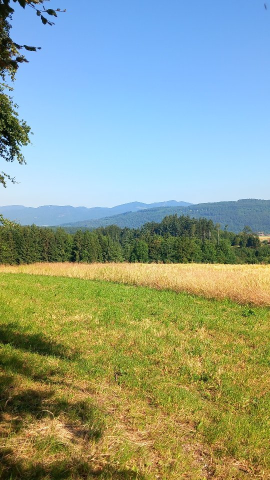 belov_1m в LOOKY. . ⛰️☀️🐝