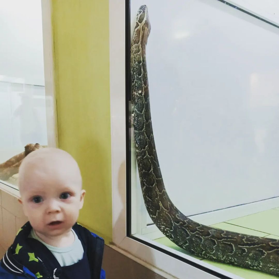 small_moon_s in LOOKY. #ужебольшоймальчик,#сыночек. 🥳🎁🎂

Сладкому пир...