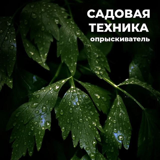 topalova.pro в LOOKY. #опрыскиватель,#обработкасада,#баковаясмесь,#подкормкарастений,#опрыскиваниедеревьев,#опрыскивательсадовый. 💦 Опрыскиватель - н...