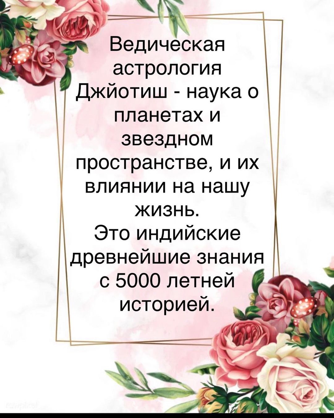 astrologinya_nastty in LOOKY. . null