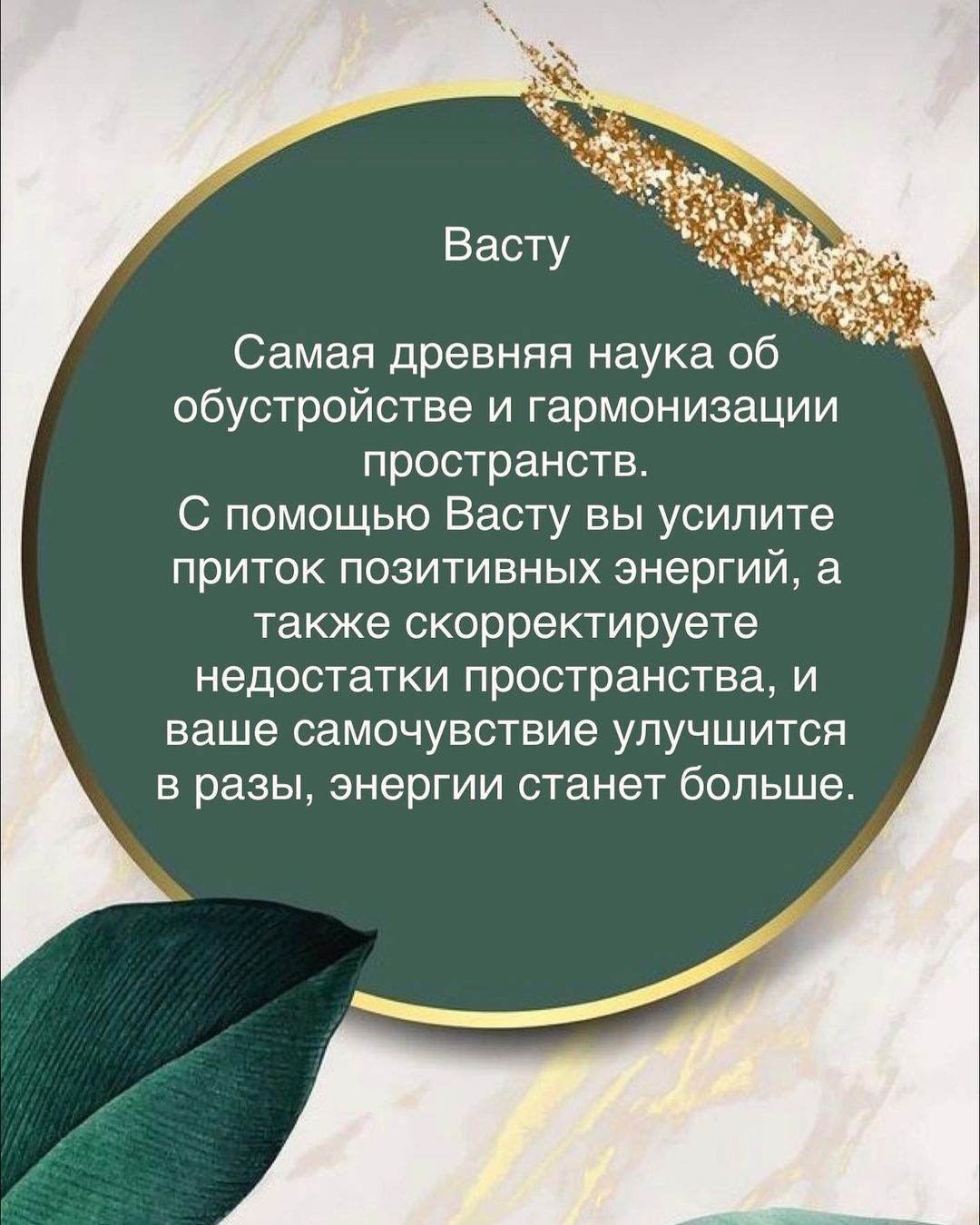 astrologinya_nastty in LOOKY. #васту. #васту