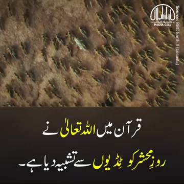 kashiflove00786 в LOOKY. #HolyQuran,#hazartnabi,#AllahPak,#Muslims,#Surah,#hadispak,#qayamat,#quranpakwithurdutranslation. #HolyQuran #hazartna...