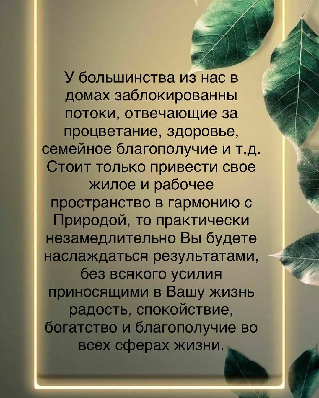 astrologinya_nastty in LOOKY. #васту. #васту