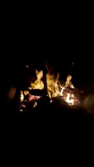 morsi_megdich в LOOKY. . Camp🏕🏕❤️❤️❤️