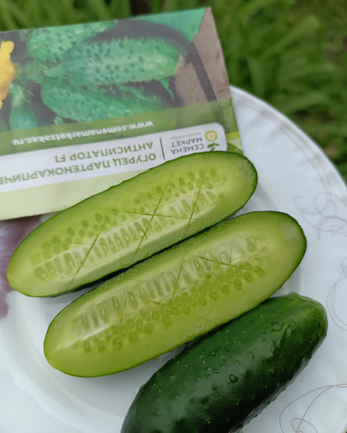 Первыми радуют огурцы от @semena_market_pro 
Ароматные и вкусные
Посажены на рассаду 06.04

#огурцы
#семенатестмаркет 
#тестсеменамаркет