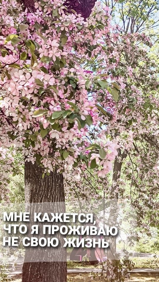 natali.vesnuwka in LOOKY. . Получается ты с поту...