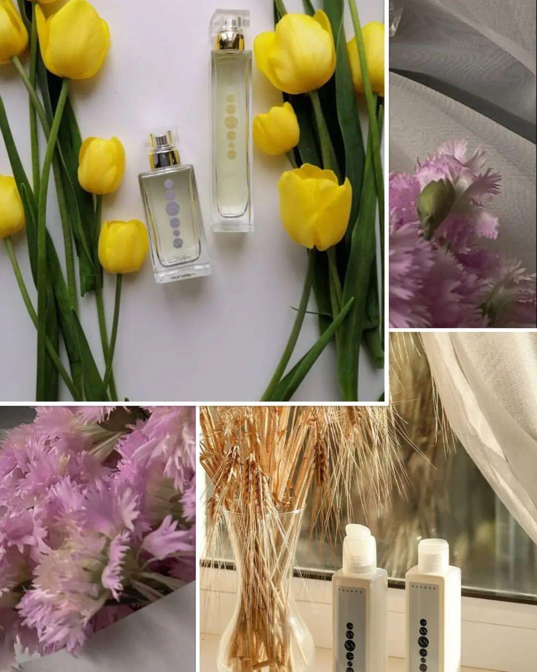 magic_of_beauty_24 in LOOKY. #духиназаказкрасноярск,#чешскиедухиназаказ,#чешскиедухи,#Essenes24. АКЦИЯ💥
Условия: при...