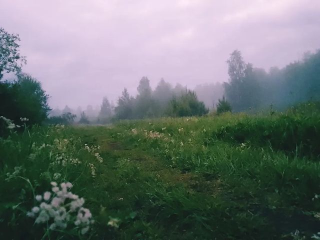 marlena_meggy в LOOKY. . Лето, ах лето 🏕☀️🏞