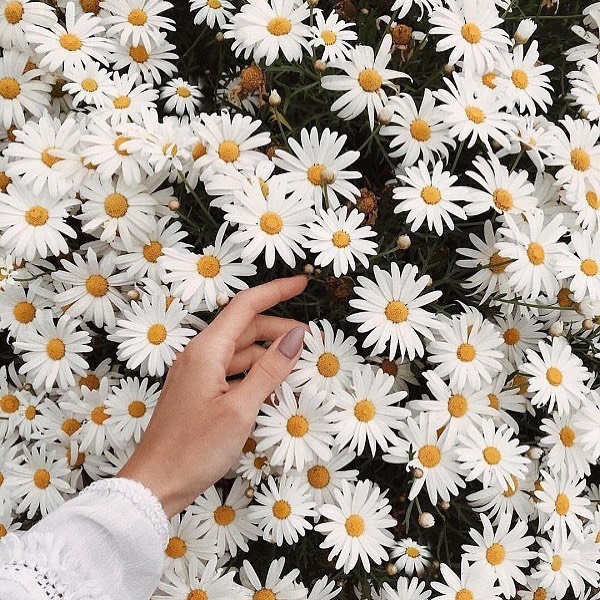 smm_sokolovaanna в LOOKY. . ✅ Возможности в декр...