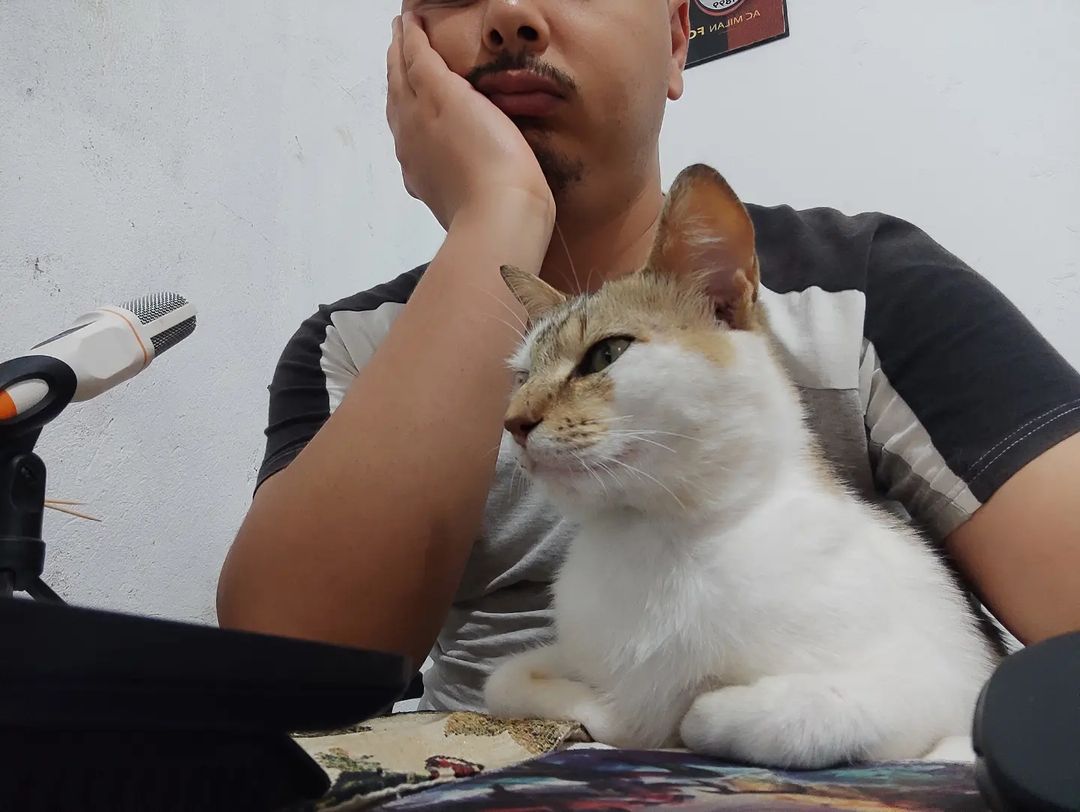 hi_saidi