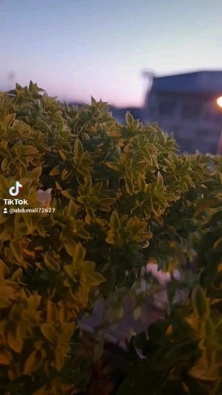 vaakhobov_ в LOOKY. #sevgi,#goals,#foodphotography,#drawing,#fashion,#zara,#nature,#niece,#trendingreels,#trend,#uzb,#turkey,#nike,#mersin,#ronaldo,#memestagram,#messi. Gooo rekkkkkk #sevgi...