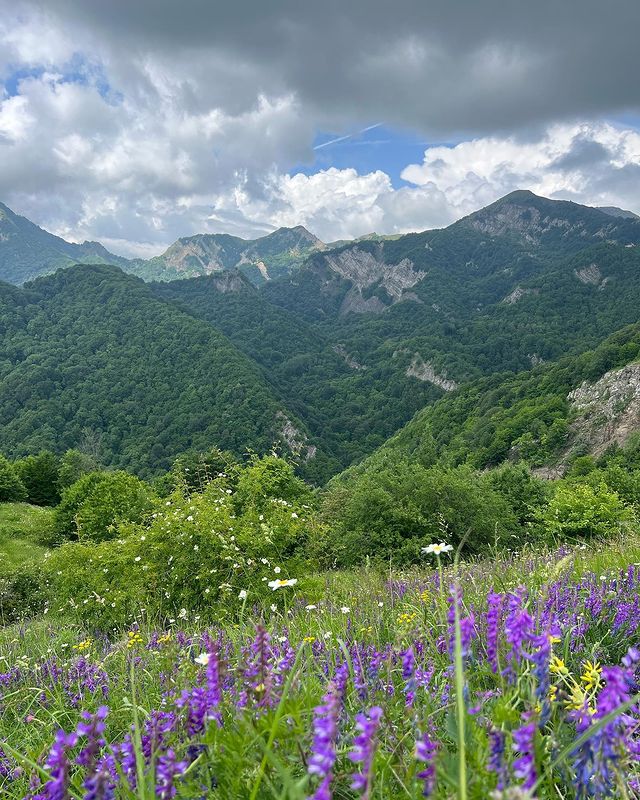 javanshirvahabzada в LOOKY. #naturephotography,#nature,#hiking,#azerbaijan,#photography,#photooftheday,#discoverearth,#asia,#europe,#azerbaycan,#ismayilli. #naturephotography #...