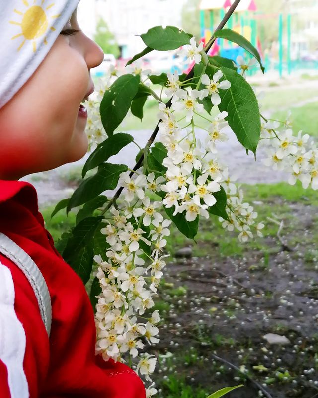 yurika_khv в LOOKY. . 🌸🌸🌸
