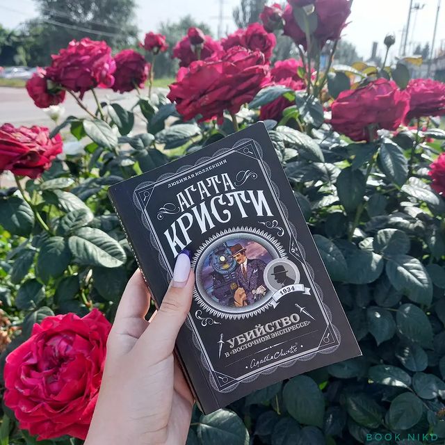 ni.amff в LOOKY. #книголюб,#книгообзор,#книгадруг,#книгоотзыв,#книгоман,#книгоблог,#книгомир,#книги,#книги,#книголав,#книгомания,#книгинашевсе,#книголюбыпоймут,#книгоманы,#книгмногонебывает,#эксмо,#роман,#bookstagram,#trendbook,#trendbooks,#агатакристи,#книжныймир,#книжныйблог,#книжныйотзыв,#книжныйтег,#книгинашевсе,#рекомендуемкниги,#люблюкниги,#чтениекниг,#детектив,#убийствоввосточномэкспрессе. «... помни маленькую...