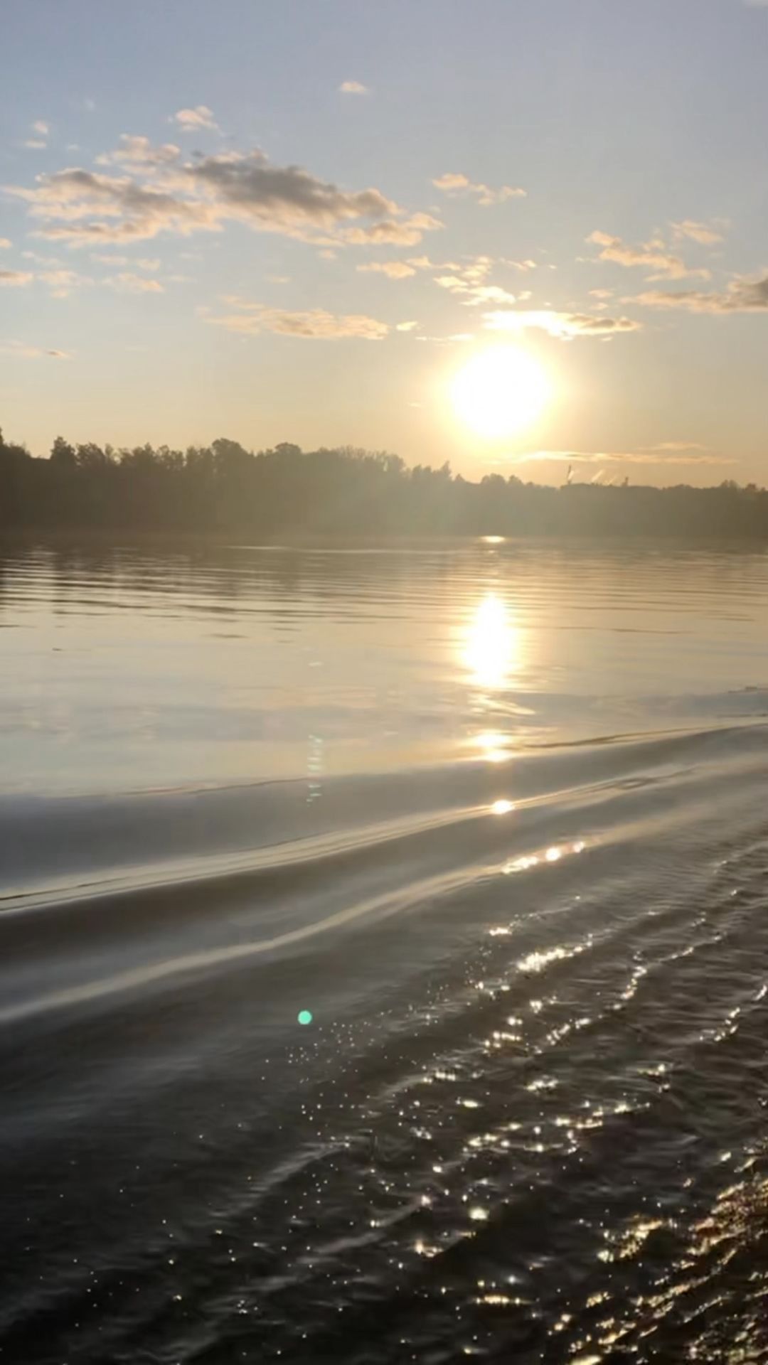 russian_smart_fox в LOOKY. . Из далека долго, теч...