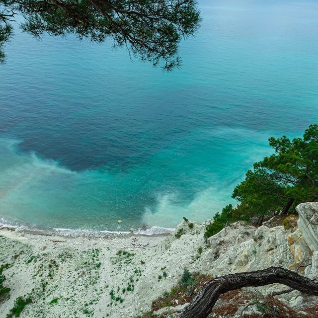 gleb_se в LOOKY. . null