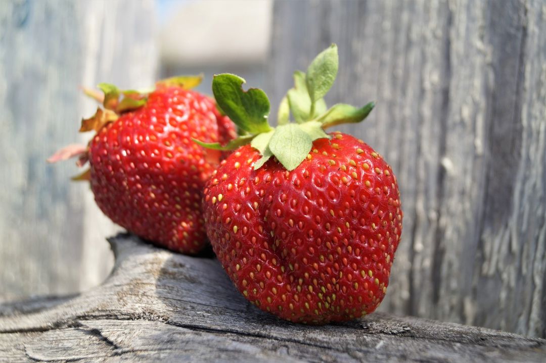 ммм...клубничка🍓

#клубника🍓 #клубничноелето🍓🍓🍓 #сезонклубникиоткрыт🍓