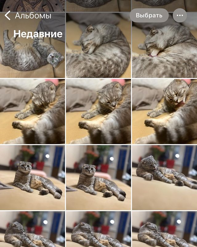 nemnogo.neskromno в LOOKY. . Ети никчемни адержым...