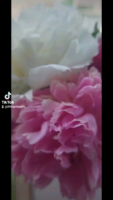 marinkalag в LOOKY. . null