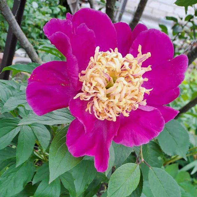 nadezhda_2202_m в LOOKY. . null