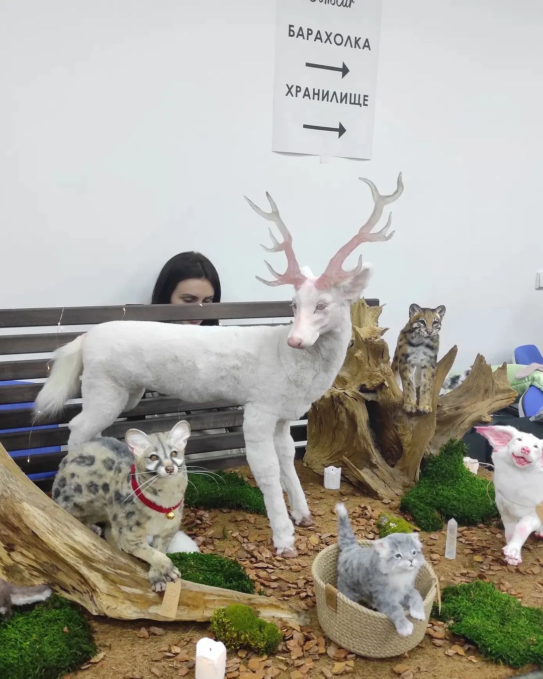 tashedfly3 в LOOKY — фото 4