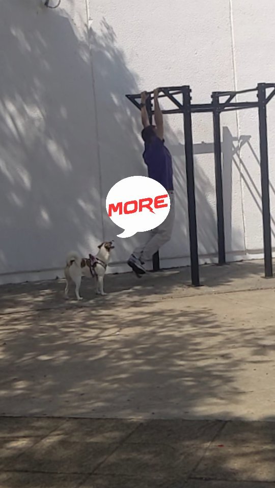 businda_albarez в LOOKY. . Pawsonal coach
