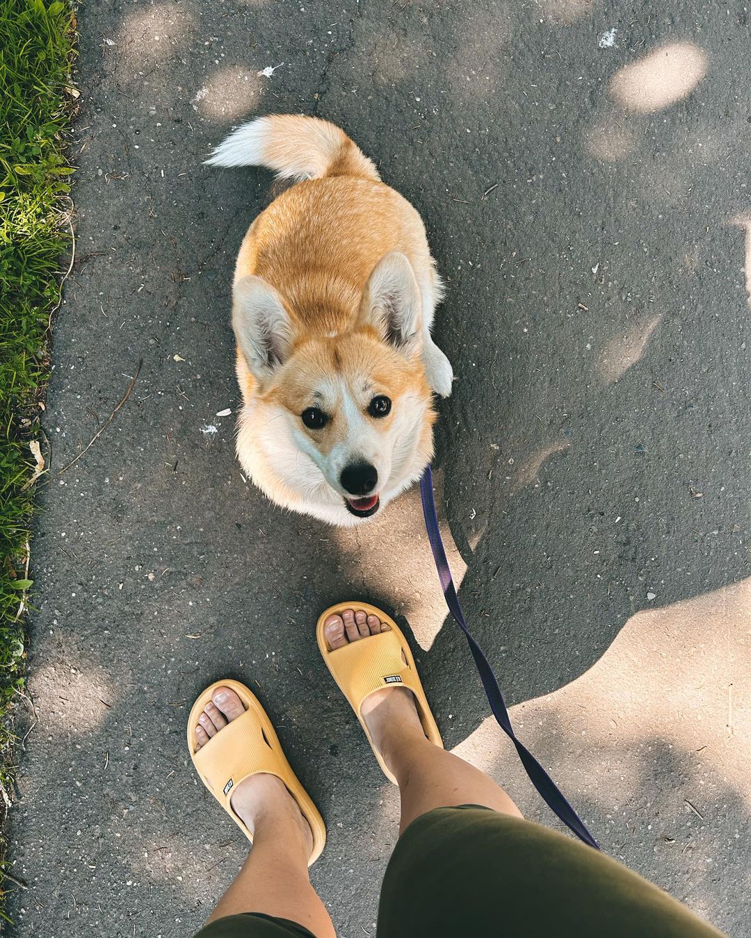 marina_morg в LOOKY — 🐾🐾🐾🐾