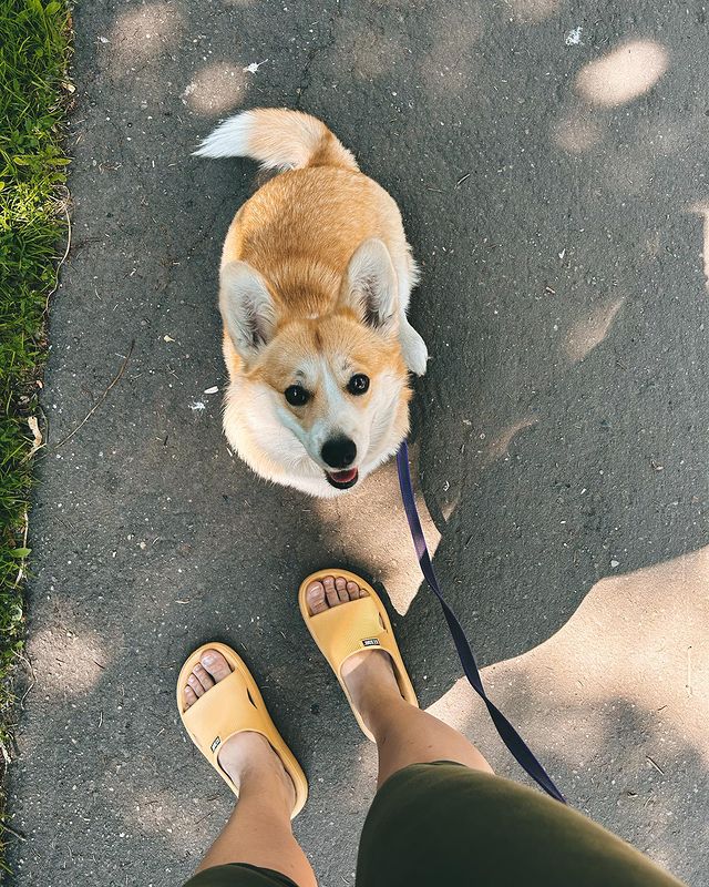 marina_morg в LOOKY. . 🐾🐾🐾🐾