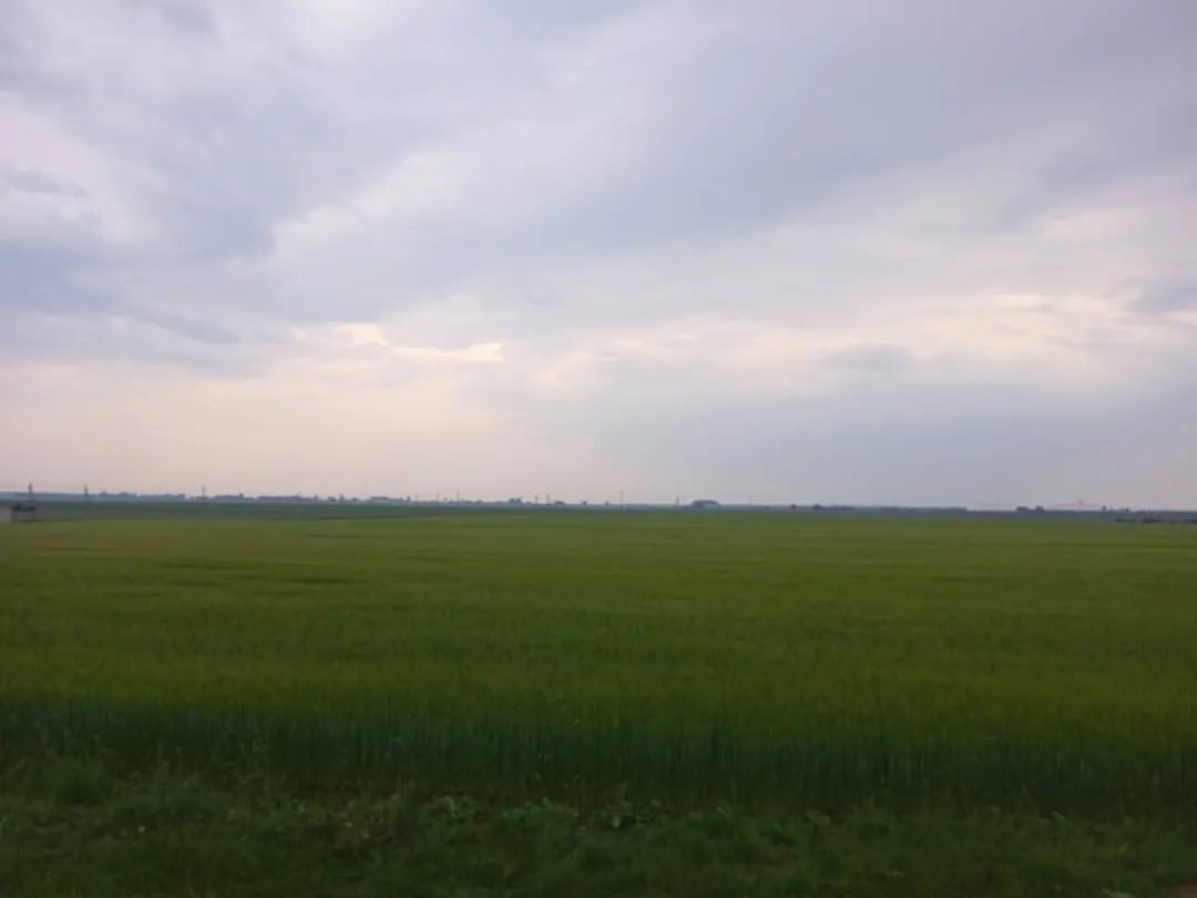 theloki357 in LOOKY. #life,#nature,#field,#beautiful,#weather,#photo,#instagram,#instagood,#instalike,#tegor137. Campo, natureza e cl...