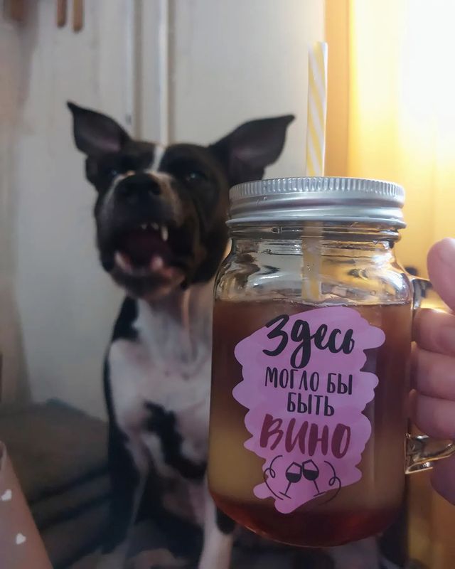 mama.sobak в LOOKY. . 🥤❤️