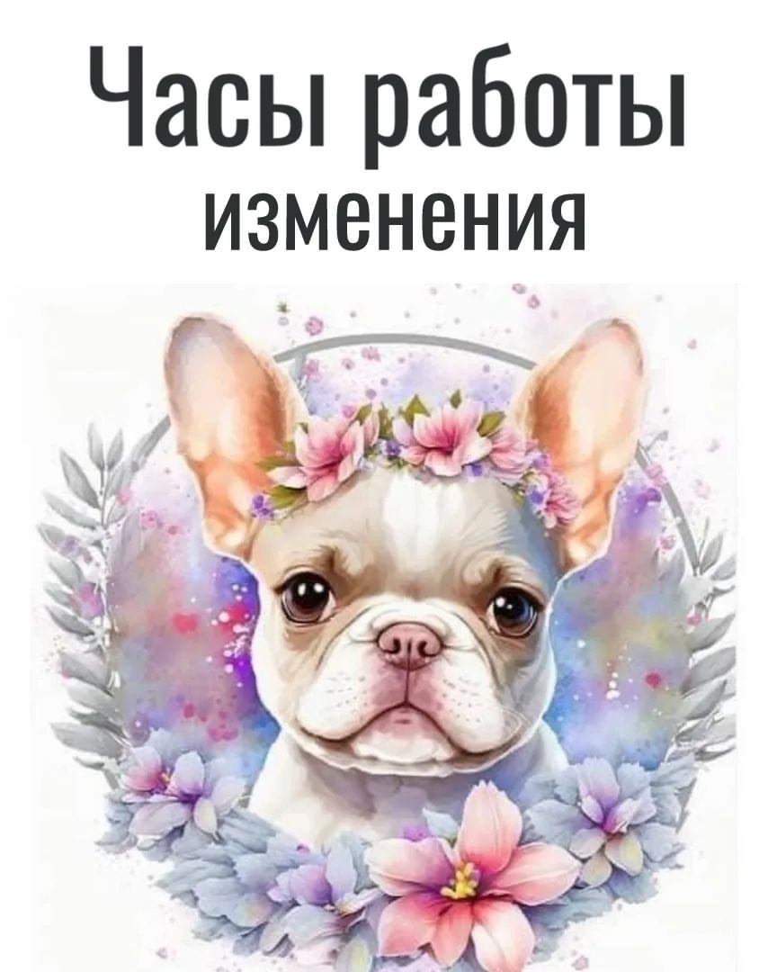 Уважаемые владельцы!

🐾Важная информация🐾

С 28 июня  по 5 июля - ветеринарная клиника будет закрыта
С 21 июля по 27 июля - ветеринарная клиника  будет закрыта

Зоомагазин работает в прежнем режиме. Просьба заранее формировать запись к врачам.

Спасибо за понимание, с уважением коллектив ВК Кондор

#кондорвет #кондор #ветклиника
