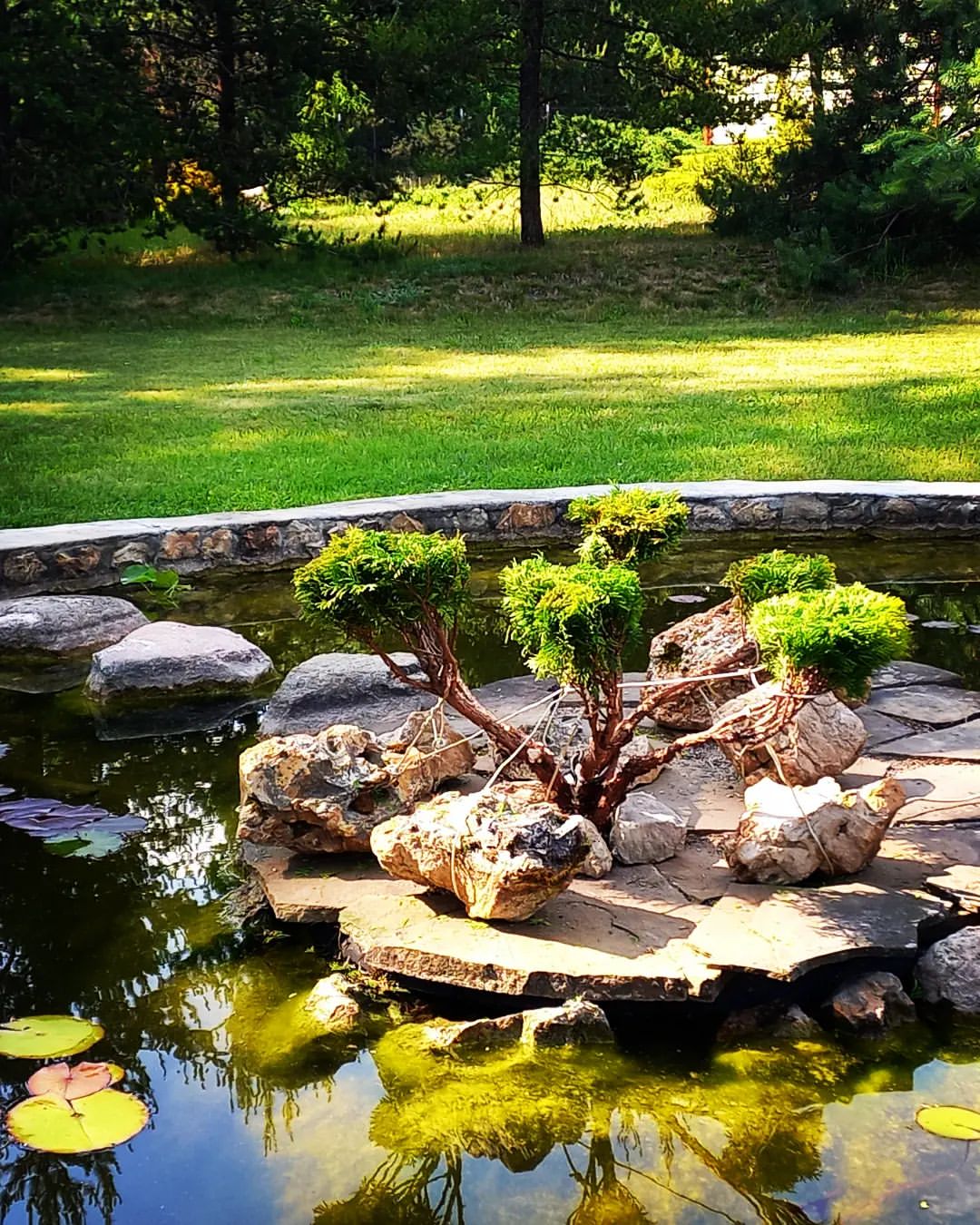 green_._style в LOOKY — фото 3