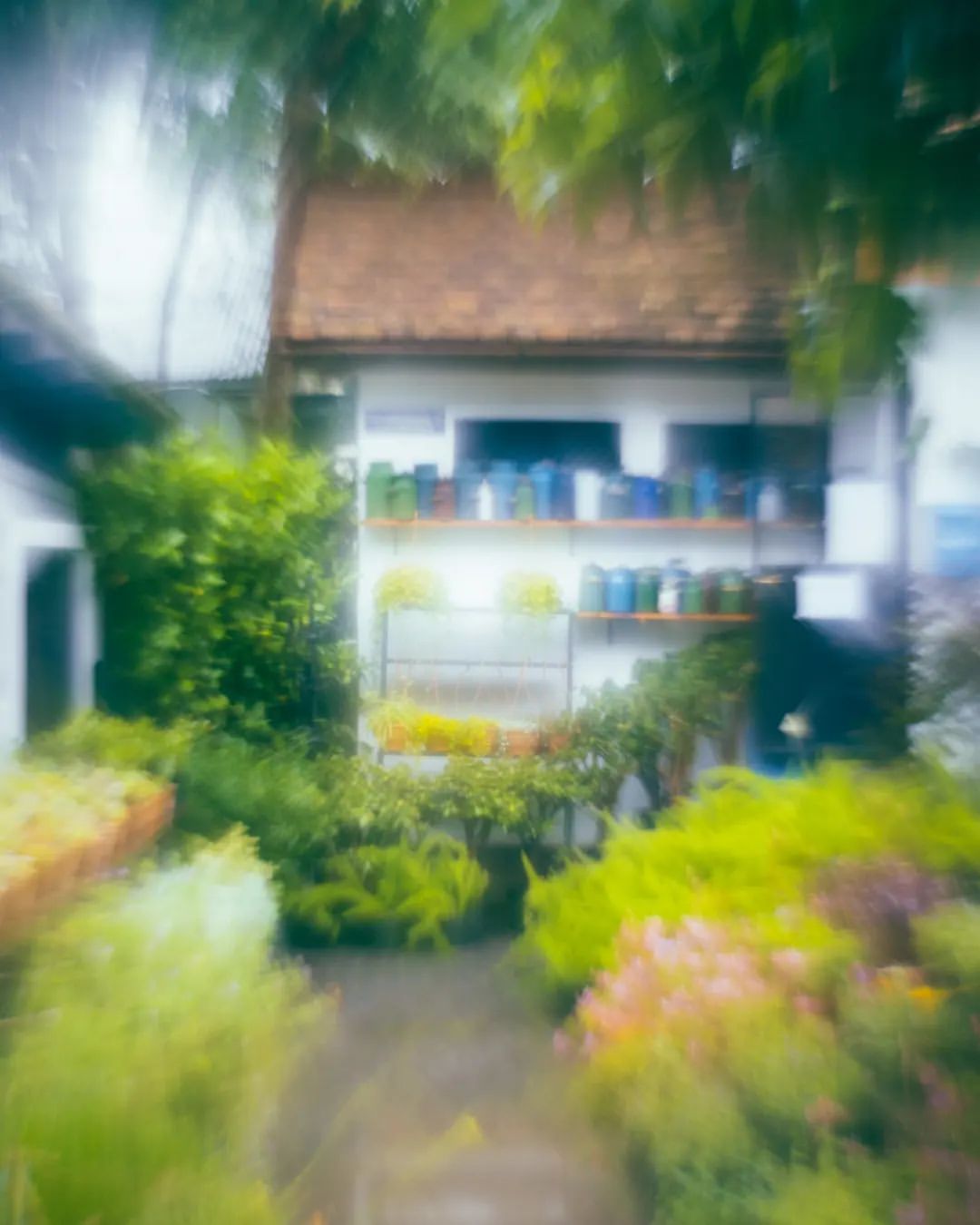 nika.varnazova_ph в LOOKY — фото 4