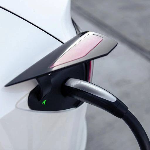 elonmusk14641 в LOOKY. . The state of Texas p...