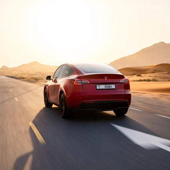 elonmusk14641 в LOOKY. . It’s a Tesla sweep a...
