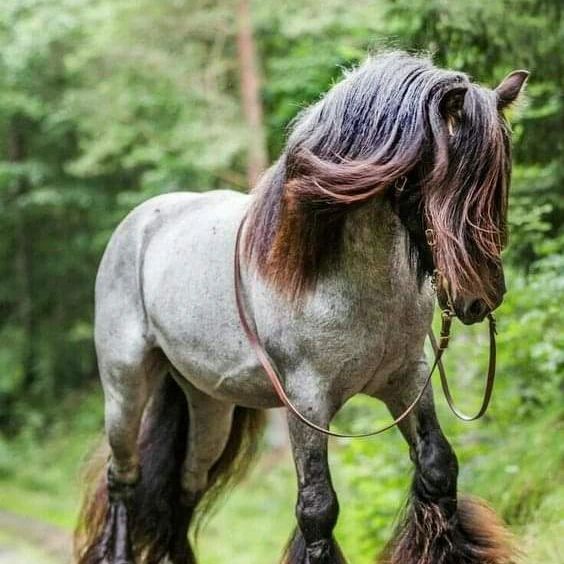 ❤️
#horse #japan #naturephotography #china #tokyo #korea