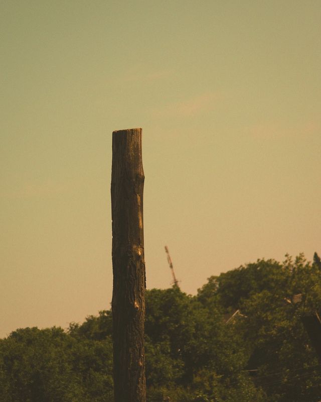 way_to_pro_in_photo_ в LOOKY. #nature,#naturephotography,#naturevideos,#aesthetic,#darkesthetic,#lifegood,#creativity,#creative,#creativephotography,#photography,#photo,#photoukraine,#🇺🇦,#🇪🇺,#lightroomedits,#cinematicvideo,#cinematography,#cinema,#cinematic,#lightroom,#запорожье,#кинодел,#nikoncoolpix,#waytoproinphoto,#prophoto,#nikon,#photography,#streetphotography,#streetphoto,#forestphotography,#cinematicphotography. 🏚️

⠀

⠀

⠀

#natur...