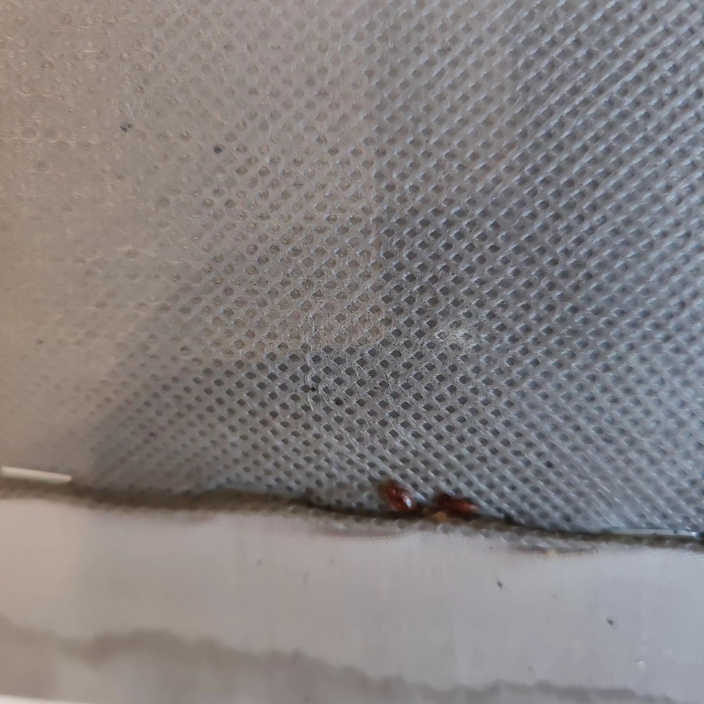 klopservis в LOOKY — фото 4