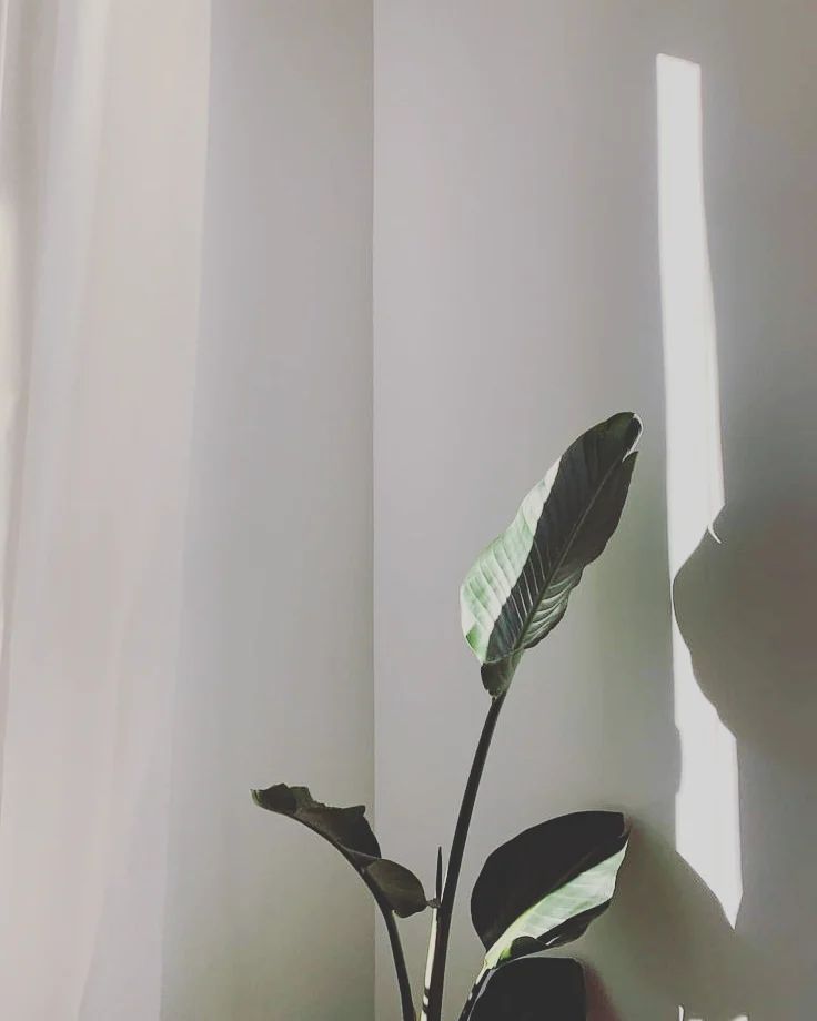 aniheruni в LOOKY — #mylove