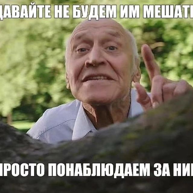 grey.kk в LOOKY. #vmirezhivotnih. #vmirezhivotnih 🤦‍♂...