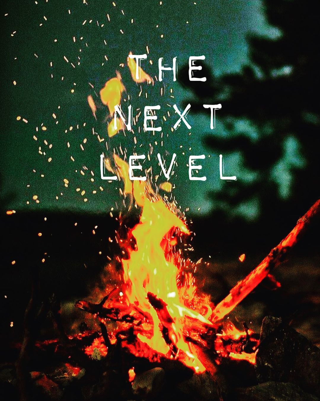 notshiroo_ в LOOKY — We just need to grow ..