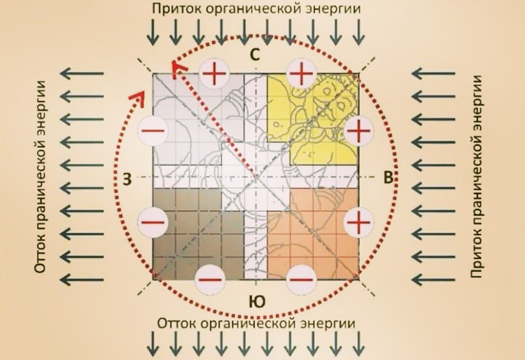 astrologinya_nastty in LOOKY. . Для увеличения прито...