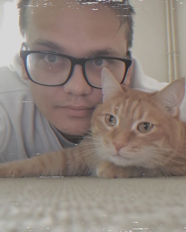 leonidnv__ в LOOKY. . null