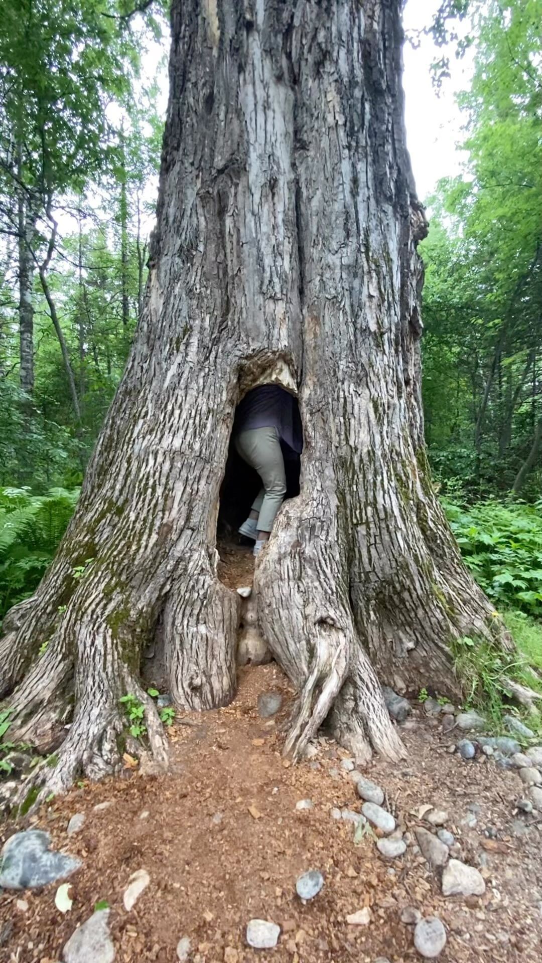 _archive_bur in LOOKY. . Поржать, ребята 😅