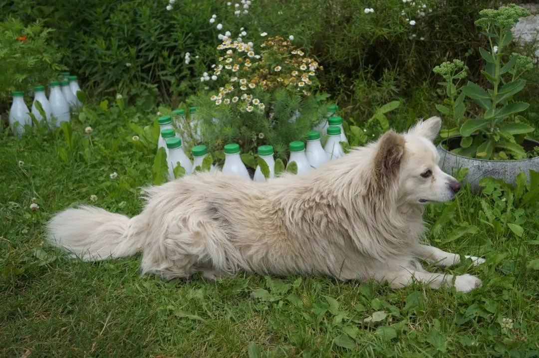 povedionoksasha4 в LOOKY — фото 5